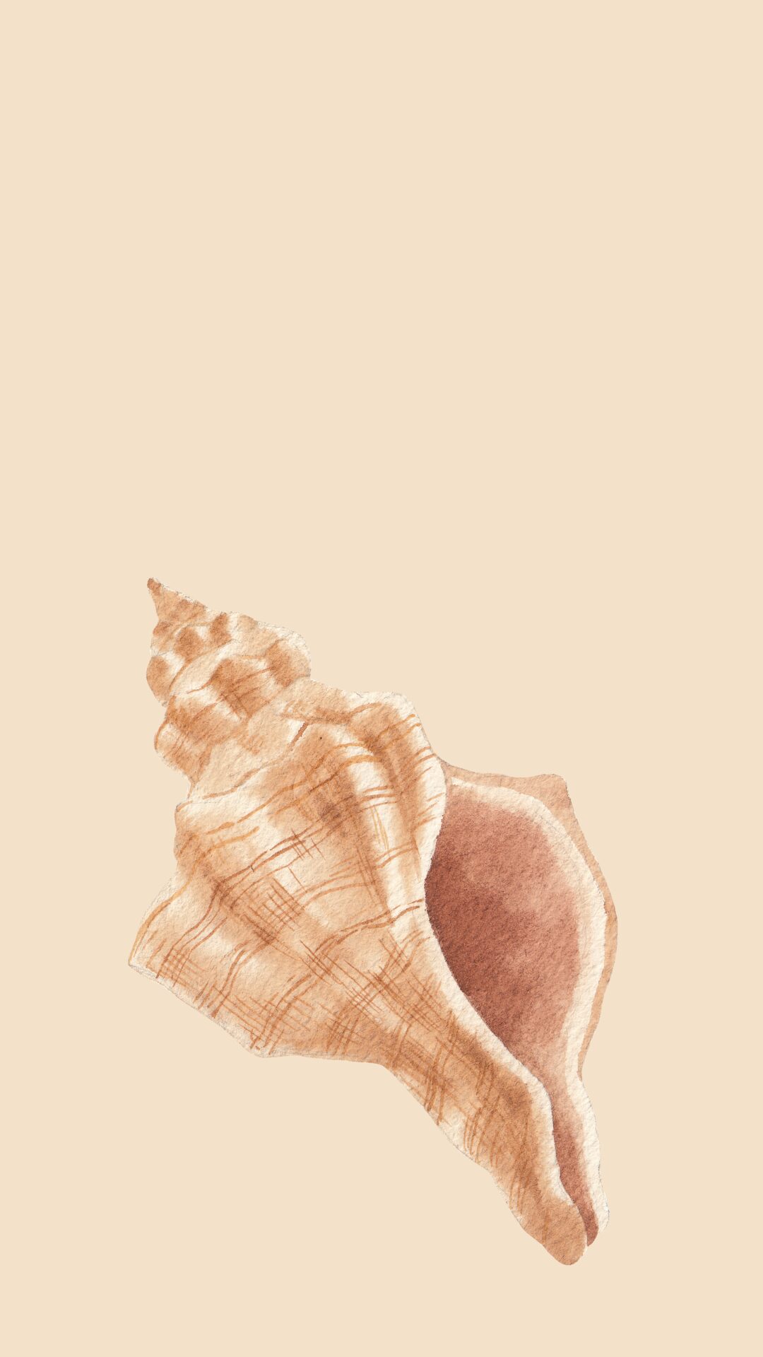 Free phone wallpaper with seashell