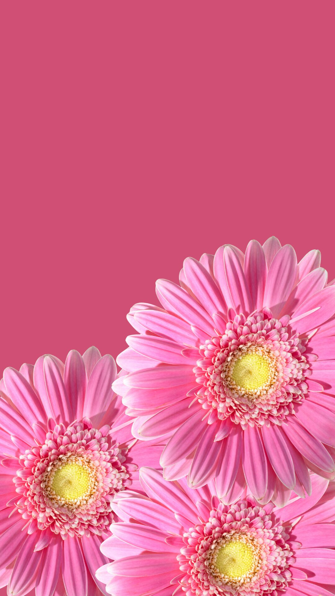 Free phone wallpaper with pink flowers