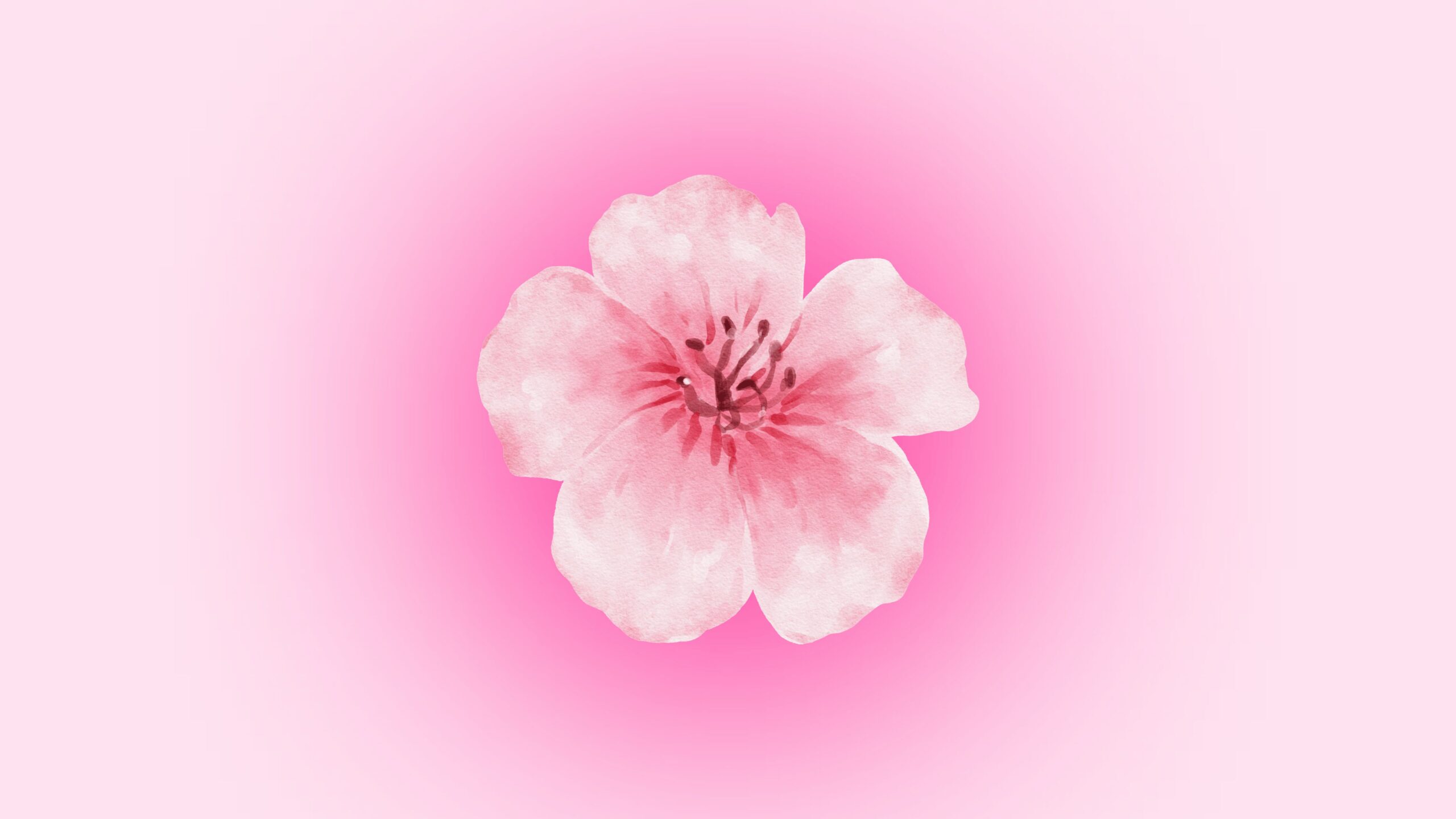 Free pink macbook wallpaper with hibiscus
