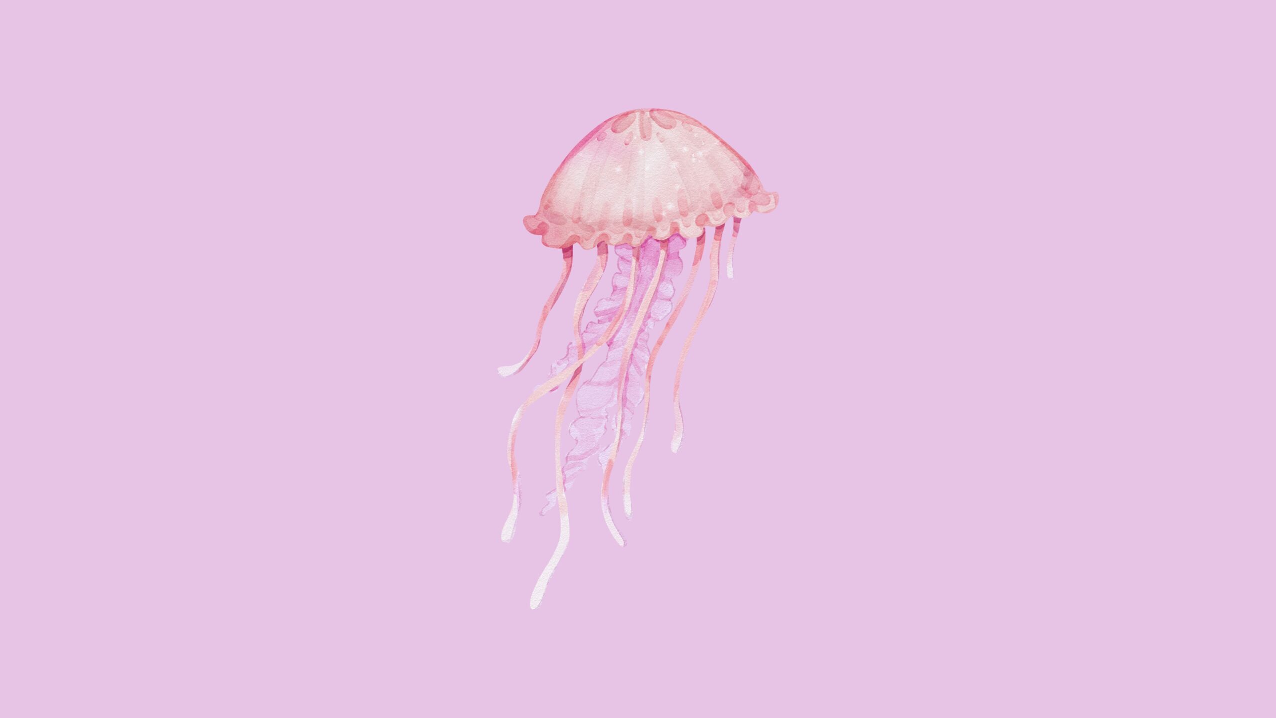 Free lavendar macbook wallpaper with jellyfish