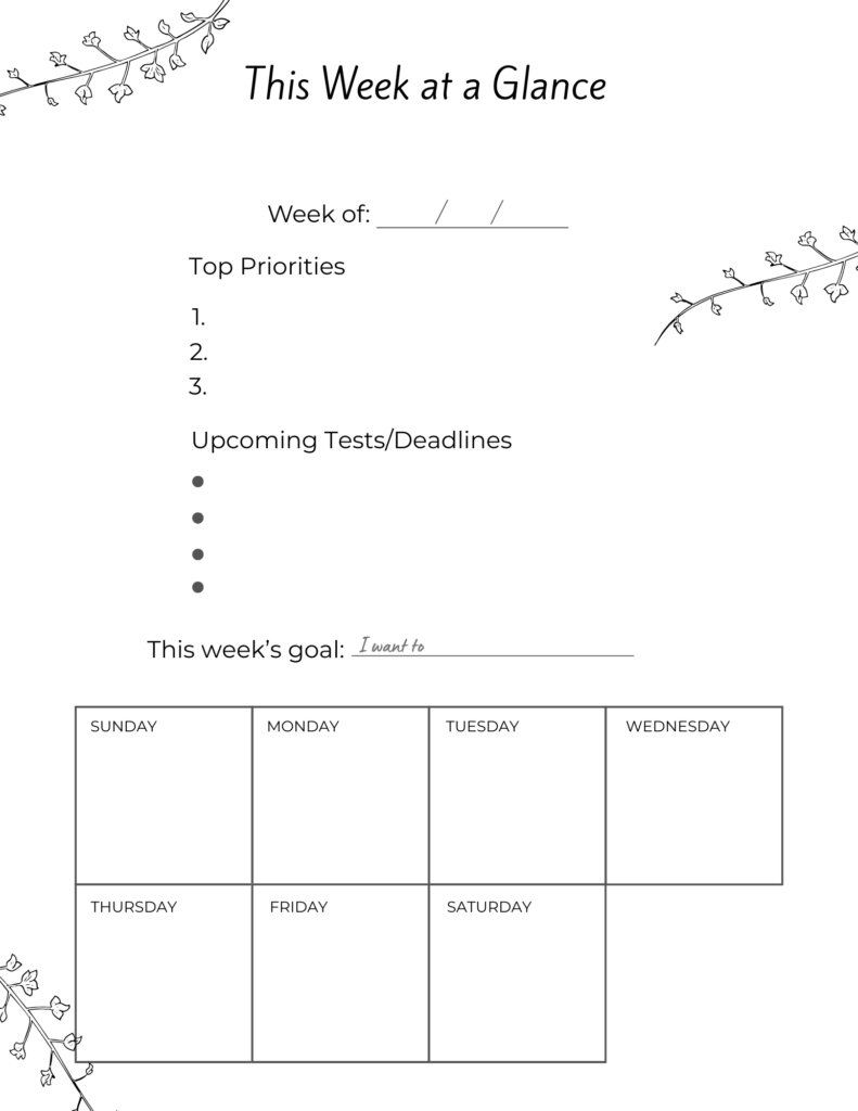 study mistakes planner